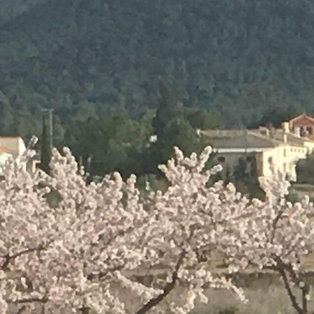Cortijo De Los Castellanos Las Ventanas Exteriör bild