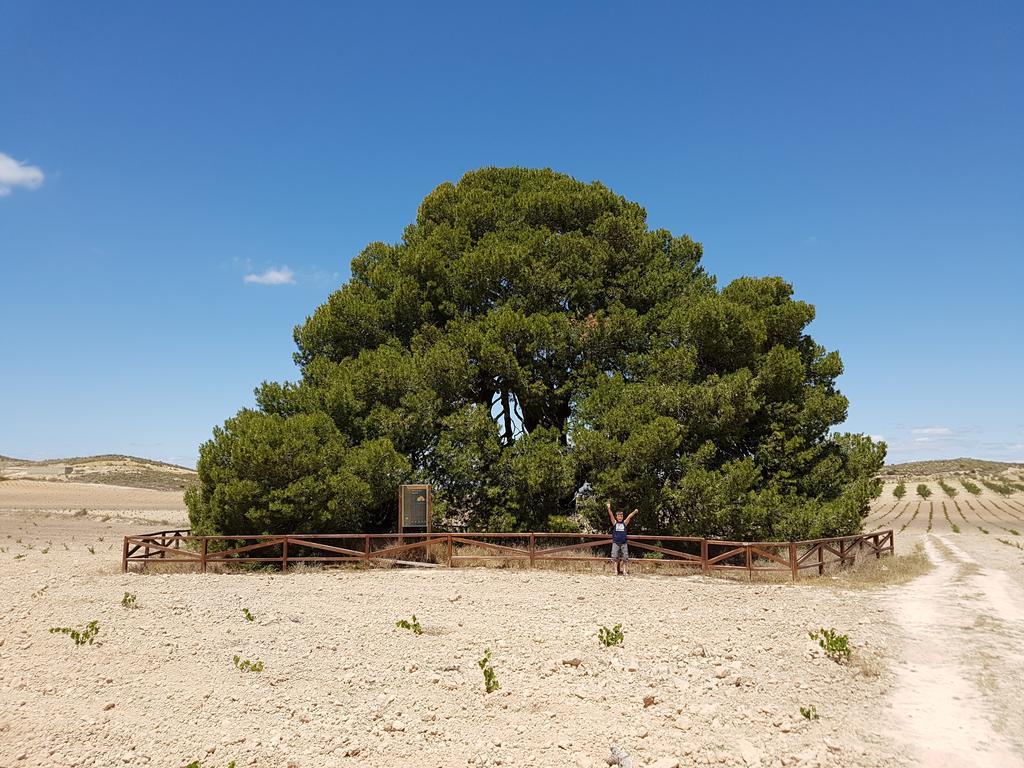 Cortijo De Los Castellanos Las Ventanas Exteriör bild